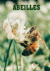 Abeilles