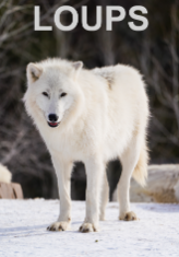 Loups