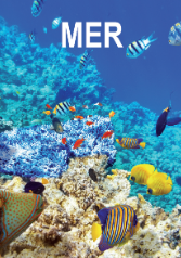 Mer
