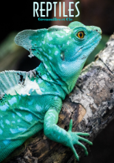 Reptiles